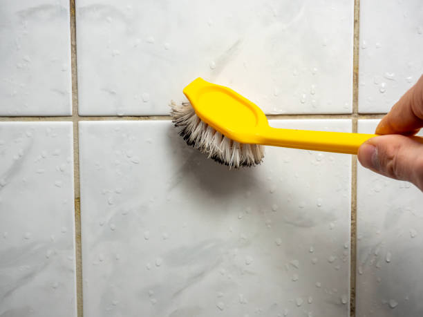 Best Toxic Mold Removal  in Raytown, MO